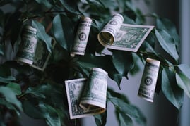 money-growing-on-a-tree-concept-endless-reserve
